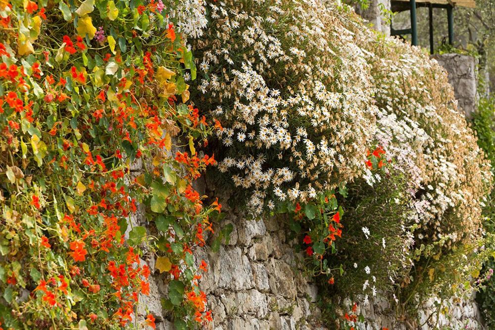 Mas Thomasine Sejour Romantique Au Calme Peillon Exterior photo